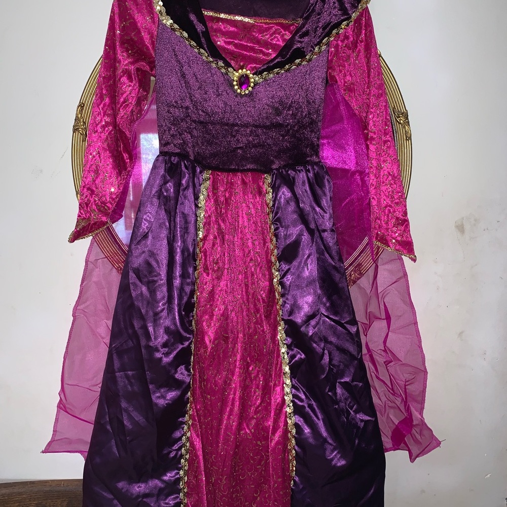 Princess costume for Halloween. Medium child
